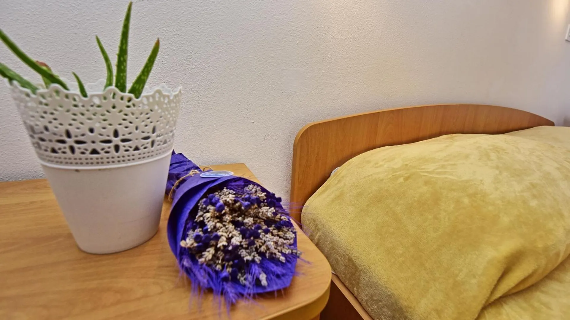 Appartement Villa Tina 1 Novigrad Istria